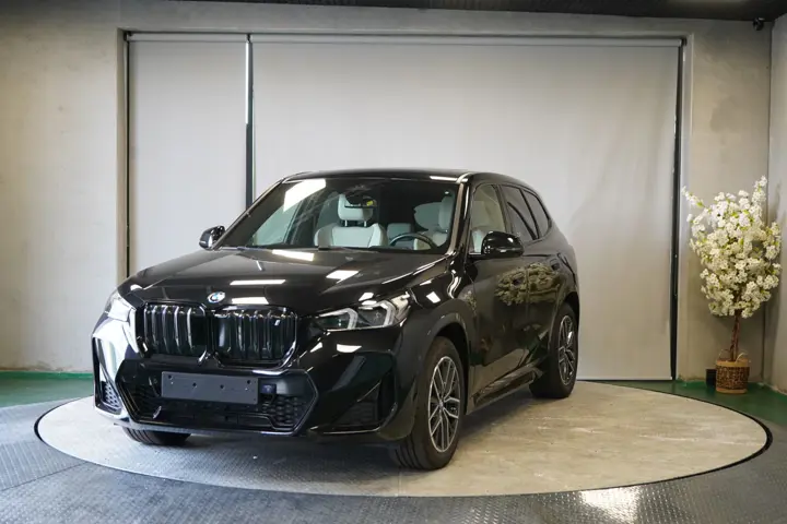 BMW xDrive30
